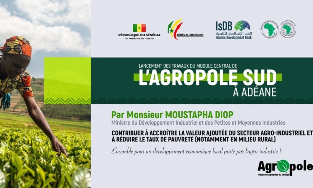 Opportunités d’Investissement en Casamance : Un Potentiel Économique Prometteur