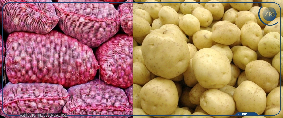 Suspendue temporairement: la vente d’oignons et pommes de terre ajustée jusqu’au 15 juin