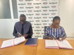 Une convention de 190 millions FCFA signée pour sécuriser la production agricole au Sénégal