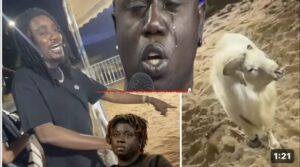 Wally Ballago Seck taquine Pawlish en le comparant à un mouton