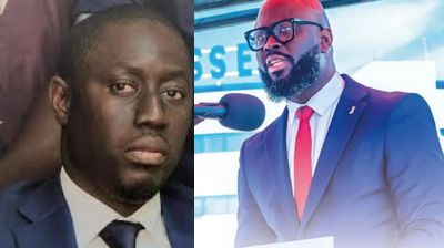 Le coxeur financier a encore frappé mais… à côté de la plaque. Par Dr Babo Amadou Bâ (DG 3FPT)