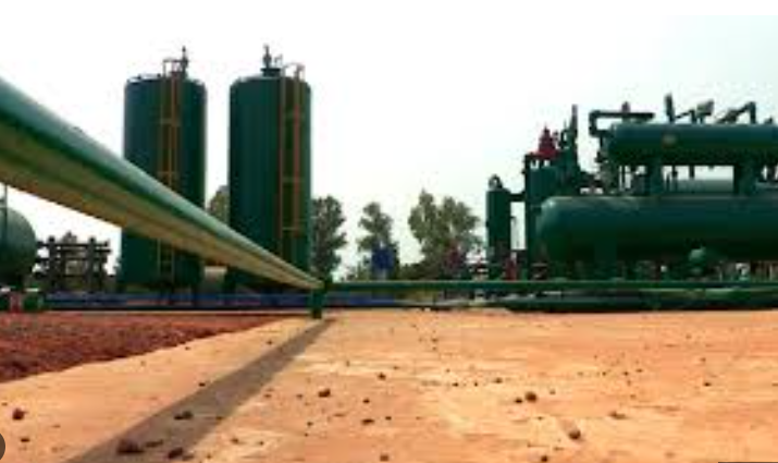 Énergie locale : Gadiaga, pilier stratégique de l’approvisionnement en gaz du Sénégal