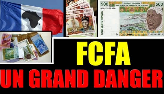 Le franc CFA : « un frein au développement économique des pays de la zone CFA », selon des experts