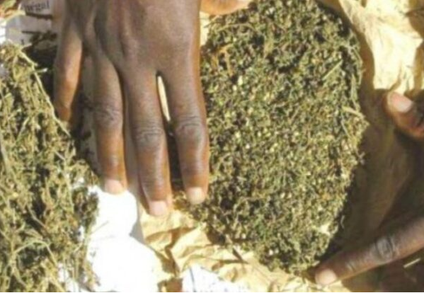 Le chasseur de dealers devient consommateur : Un gendarme pris la main dans le sachet
