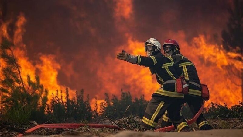 Incendies dans l'Aude : Plus de 130 hectares brûlés, l'autoroute A61 coupée
