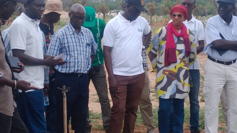 ISRA : Visite de Moustapha Gueye à Bambey pour le Programme de Production de Semences 2025-2034