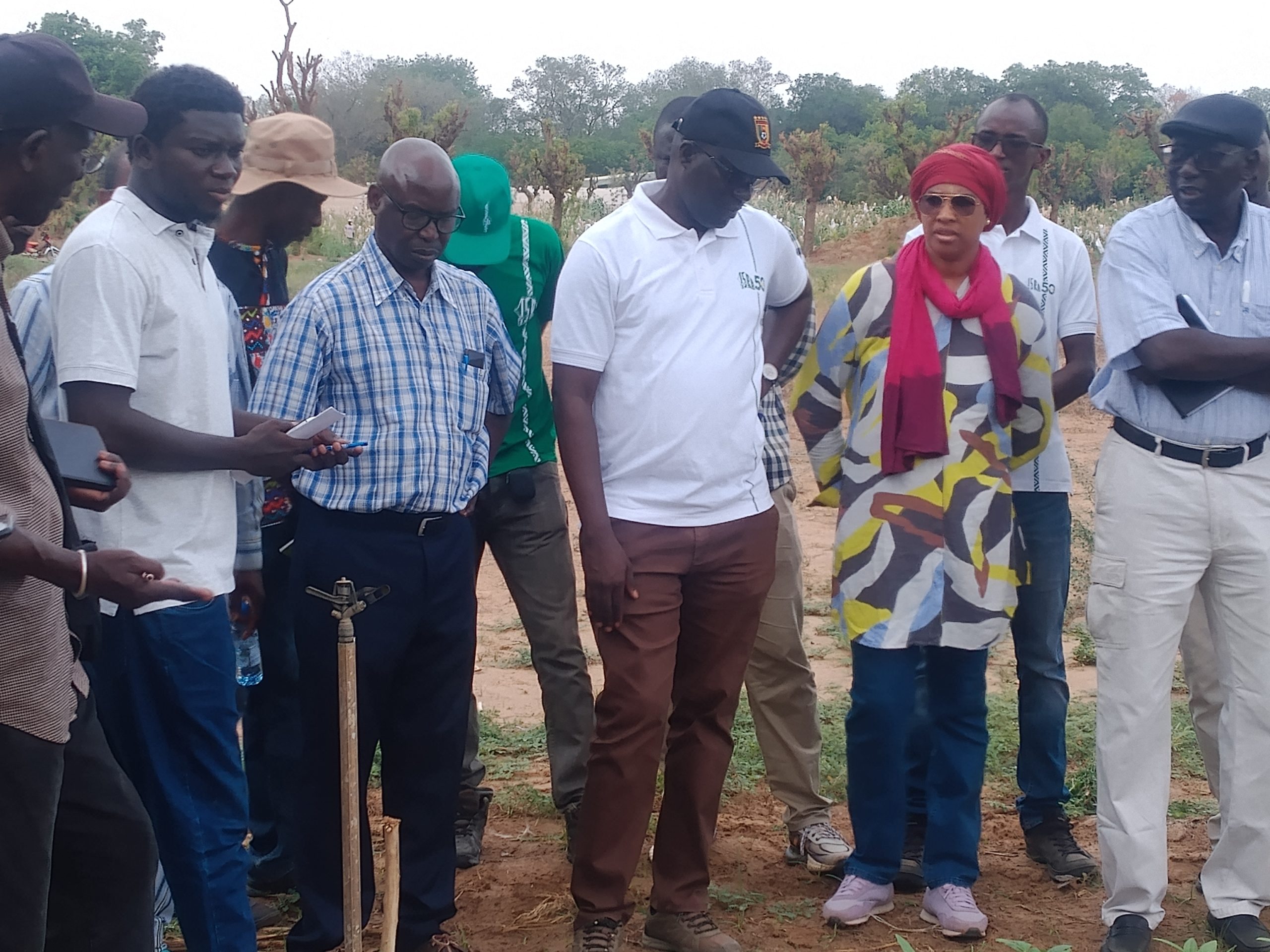ISRA : Visite de Moustapha Gueye à Bambey pour le Programme de Production de Semences 2025-2034