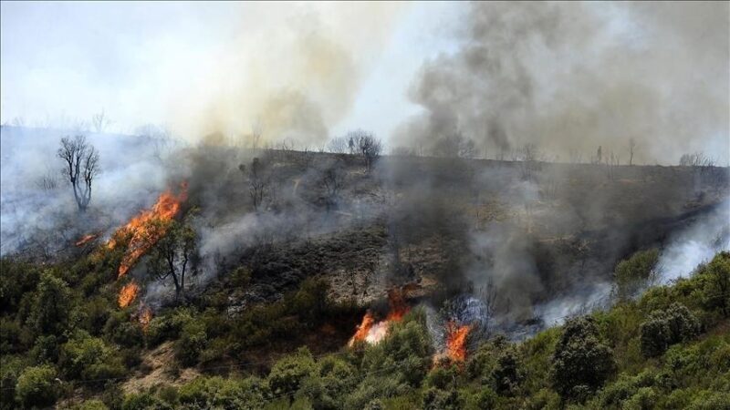 France : Incendie maîtrisé dans l'Aude, 400 hectares détruits, un homme interpellé