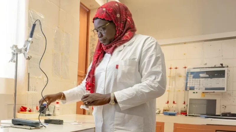BAD : 25,5 millions d’euros pour soutenir les PME mauritaniennes via la GBM