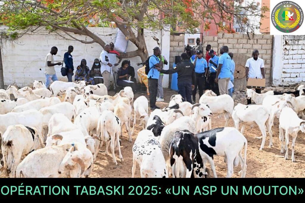 Tabaski 2025 : un mouton pour chaque ASP, une initiative sociale saluée