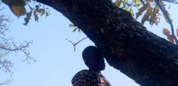 Ziguinchor : un homme retrouvé pendu dans une baraque de pêcheurs…