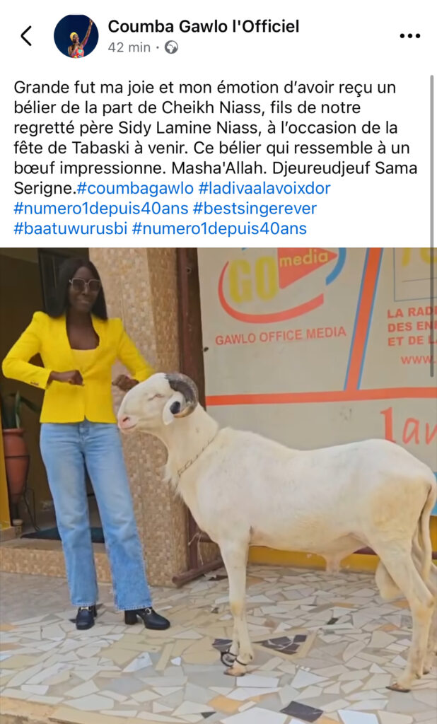 Cheikh Niass offre à Coumba Gawlo un impressionnant bélier pour la Tabaski