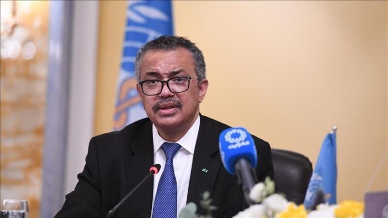 Gaza : L'OMS livre de l'aide médicale après huit mois de blocus