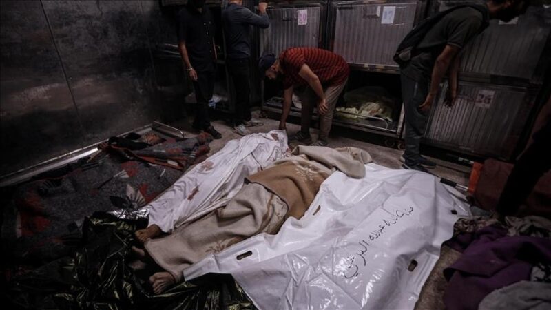 Gaza : Près de 56 000 Palestiniens morts suite aux offensives israéliennes