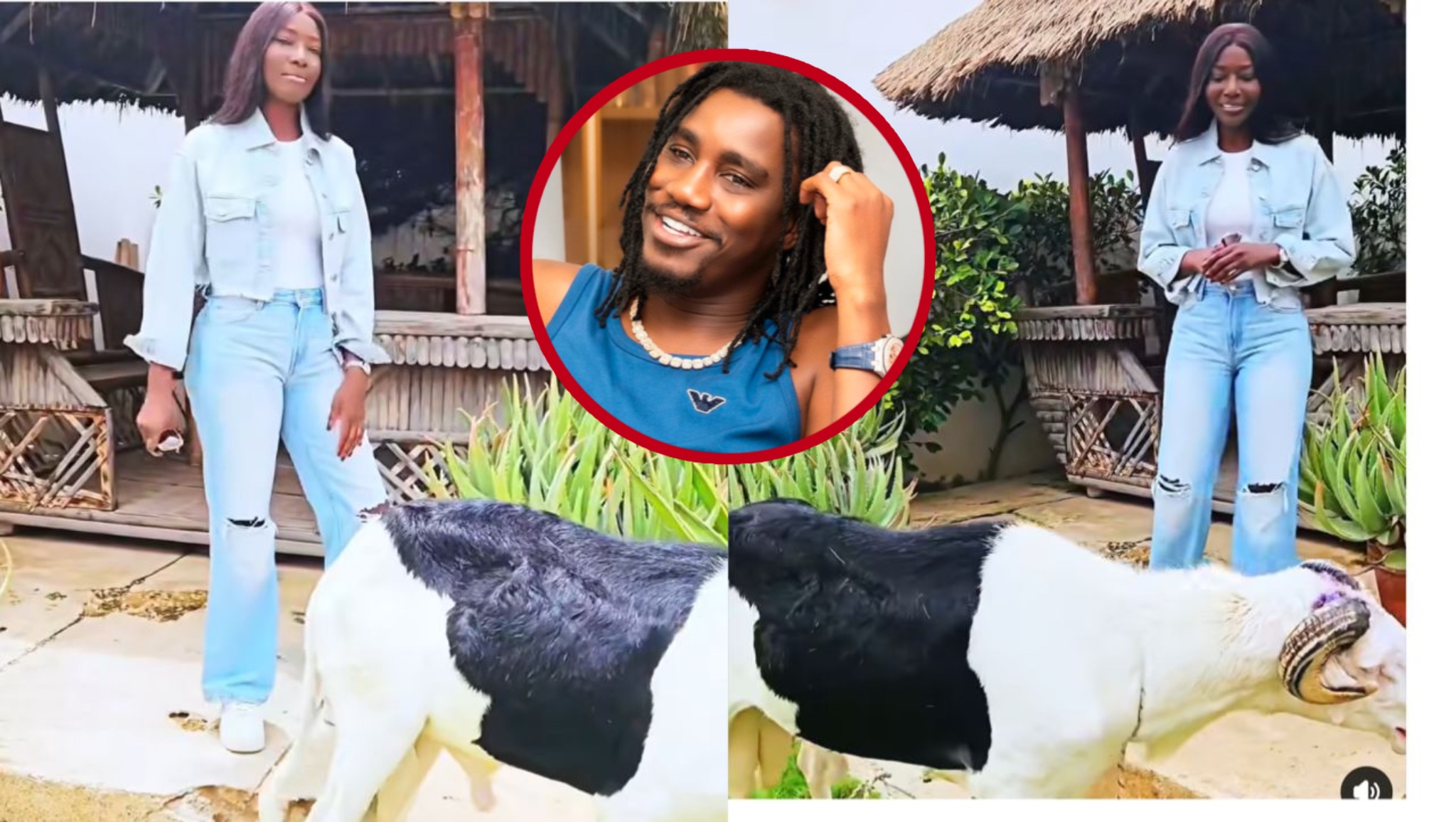 Générosité de Wally Seck et Cheikh Niass envers Coumba Gawlo pour la Tabaski