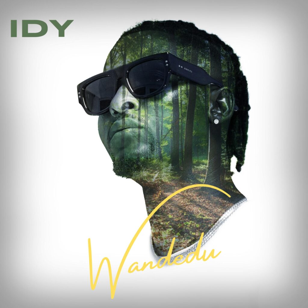 IDY émerge sur la scène musicale avec "Wandedu"