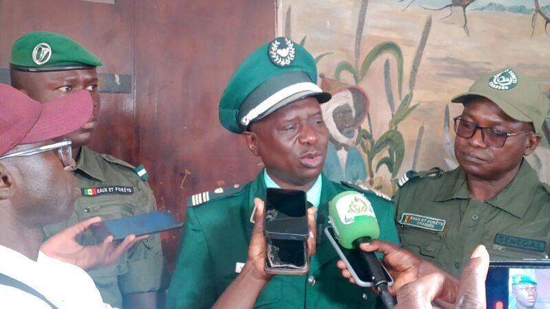 IREF Niang: Les acteurs plaident pour la plantation d'arbres fruitiers à Diourbel.