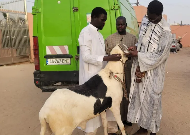 La Matinale Senego : Sonko, Diagne et Thiaw au cœur de l