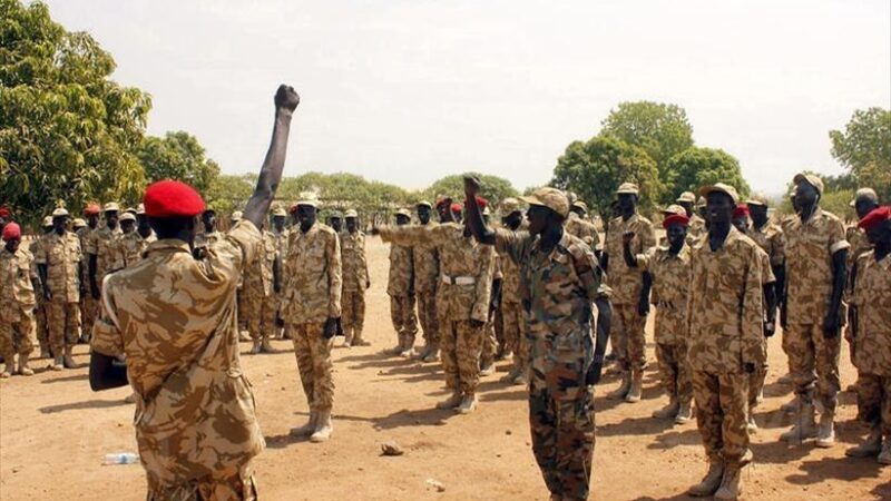 Nigeria : l’armée neutralise des bandits après une attaque coordonnée