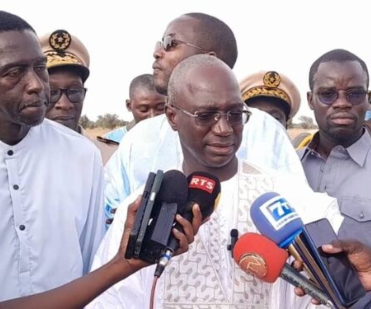 Tabaski 2025 : Une disponibilité exceptionnelle en moutons au Sénégal