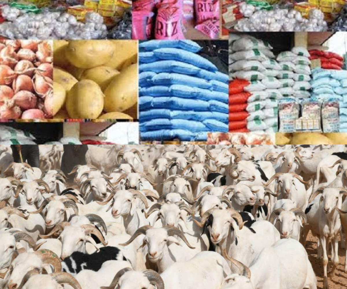 Tabaski 2025 : abondance de moutons et de denrées malgré la crise économique