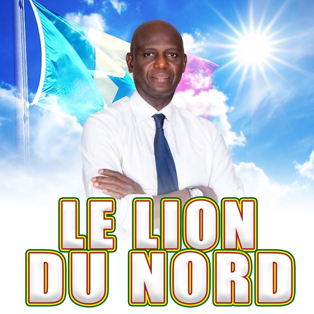 Visite du chef de l’Etat à Saint-Louis : Dieguy Diop qualifie de glacial l’accueil réservé à Diomaye Faye