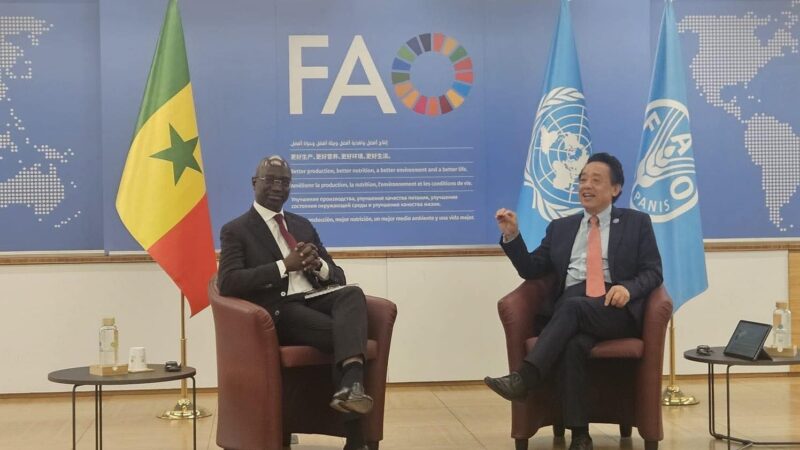 Rome : Le Dr Mabouba DIAGNE officiellement installé, comme President de la conférence de la FAO