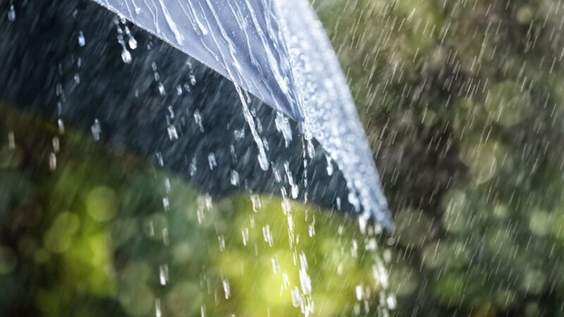 Météo : Des orages attendus en Casamance, à Kédougou et dans le Sine-Saloum...