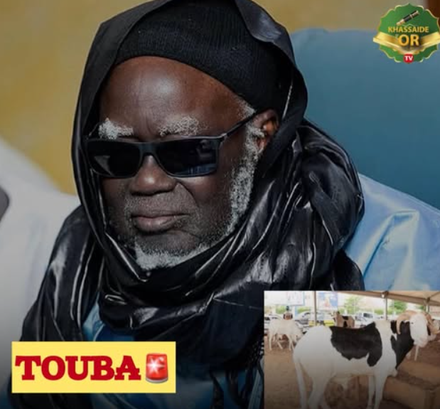 Touba: Les Adiya affluent à l’approche de la Tabaski