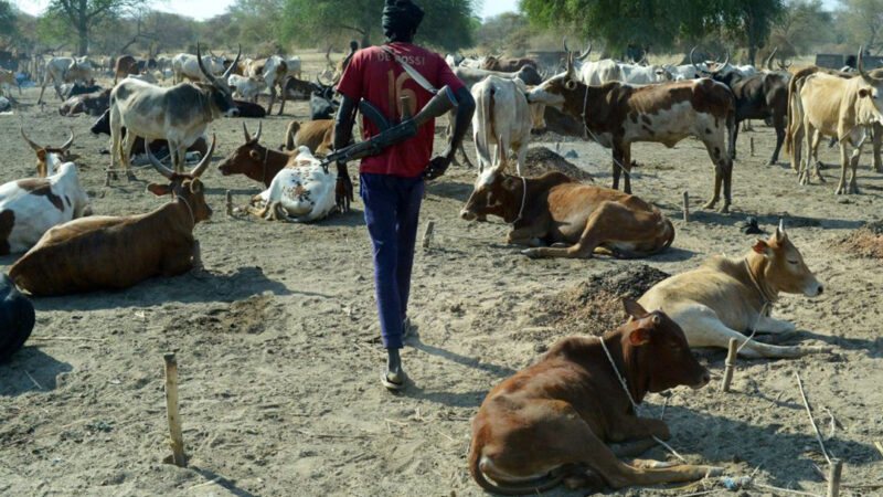 Habitants de Ngathie Peulh : leur mobilisation pour l'électricité