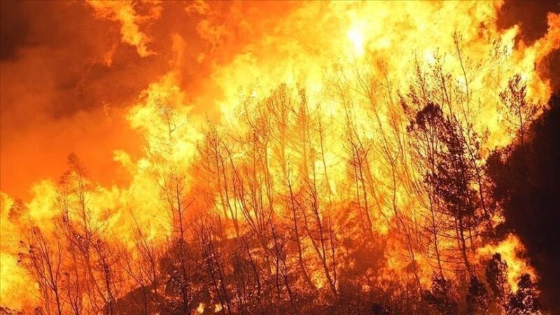 Grèce : Plus de 5 000 évacuations en Crète après un violent incendie