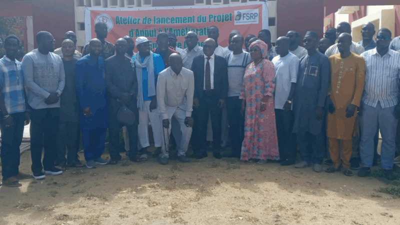 Sénégal : Lancement d'un projet pour améliorer la génétique du mouton Ladoum