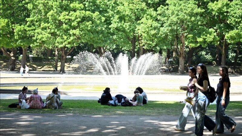 Belgique : La nationalité révocable pour les crimes graves
