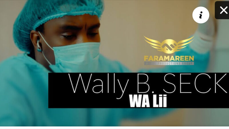 « Wa Lii » : le nouveau clip de Wally Seck fait le buzz