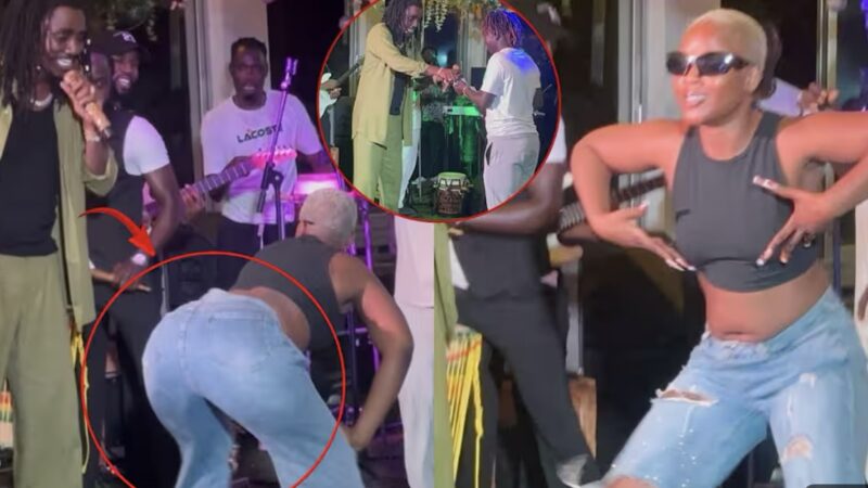 Danse endiablée de Rangou à la soirée de Wally Seck au Cop21 : Le buzz enflamme la toile