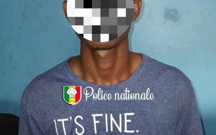 Trafic de drogue à Yeumbeul : un étranger interpellé avec 174 képas de Kush...
