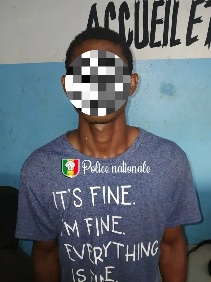 Trafic de drogue à Yeumbeul : un étranger interpellé avec 174 képas de Kush…