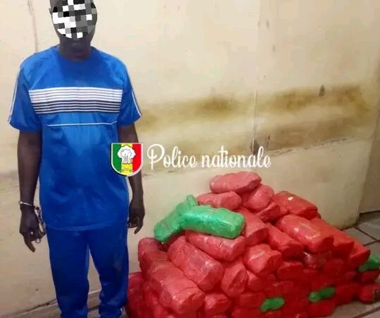 Kaolack : 82 kg de chanvre indien saisis à Keur Laly, un convoyeur interpellé