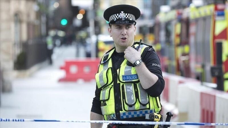 Angleterre : Une manifestante pro-Palestine interpellée pour "soutien au terrorisme"