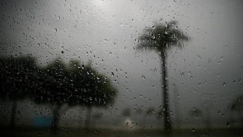 Orages meurtriers dans l'Est de la France : un mort et six blessés