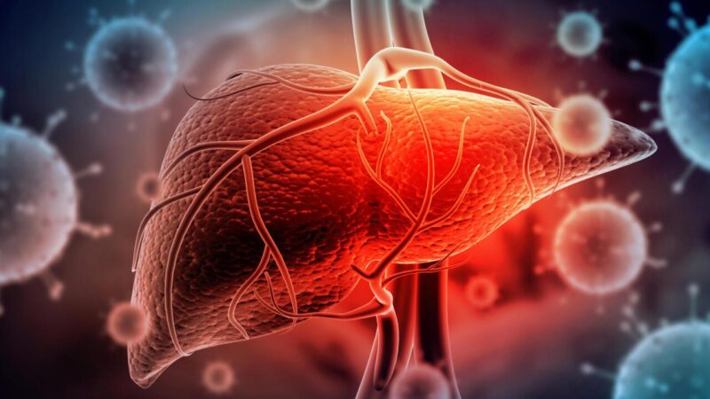 Hépatite B à Kaolack : 69% des patients en gastro-entérologie porteurs du virus, selon le Dr Cissé
