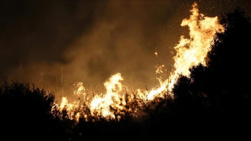 Incendies en Europe et en Méditerranée : La Türkiye et plusieurs pays en alerte rouge face à la chaleur extrême