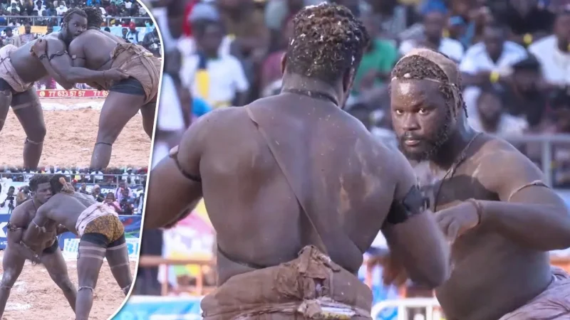CLAF 2025 : Bébé Gouy Gui sacré champion face à Eumeu Jr