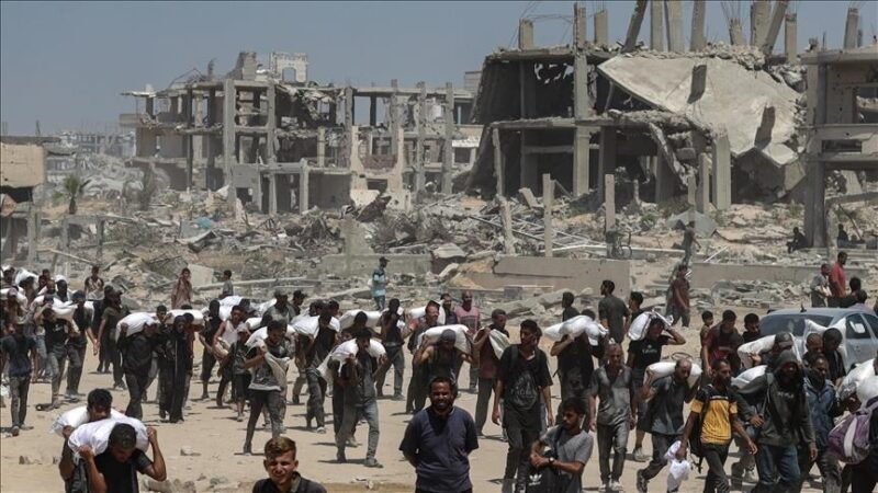 Allemagne : Deux organisations de défense des droits humains accusent Israël de "génocide" à Gaza