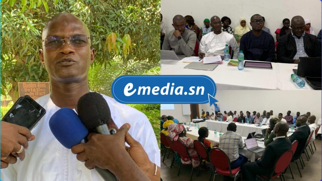 WEECAP au Sénégal : Un projet pour booster l’autonomisation des femmes dans la filière anacarde