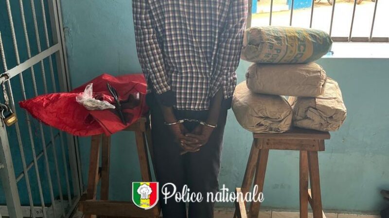 Trafic de drogue à Kolda : un individu arrêté avec 4 kg de chanvre indien (Photo)