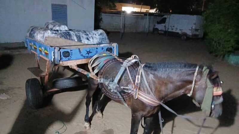 Sandiara : 175 kg de chanvre indien interceptés par la Gendarmerie
