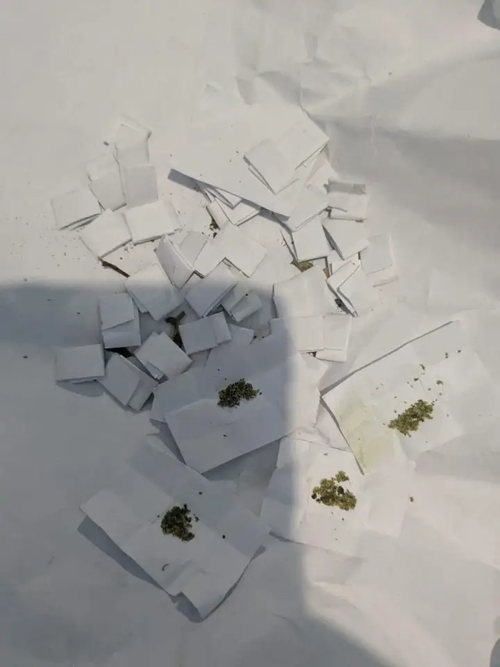 La Matinale Senego : Retour Spectaculaire de Siteu contre Balla Gaye 2 et Polémique sur la Justice