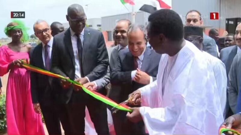 Diamniadio : Le groupe égyptien Siltal inaugure son usine d’électroménagers…
