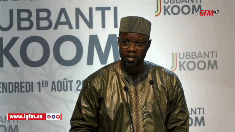 PNRE 2025-2028 : El Hadji Ibrahima Sall livre une analyse critique du plan de Sonko